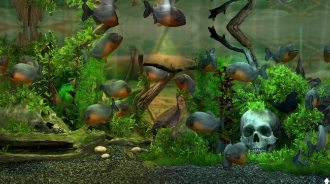 Behind Glass Aquarium Simulator Free Download